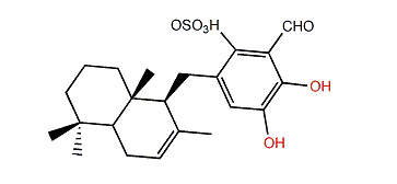 Siphonodictyal C